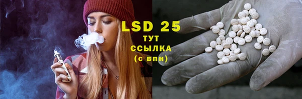 PSILOCYBIN Фёдоровский