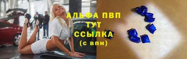 индика Ессентукская