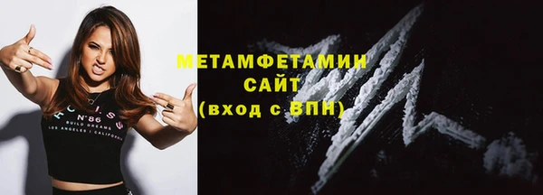индика Ессентукская