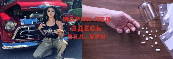 PSILOCYBIN Фёдоровский